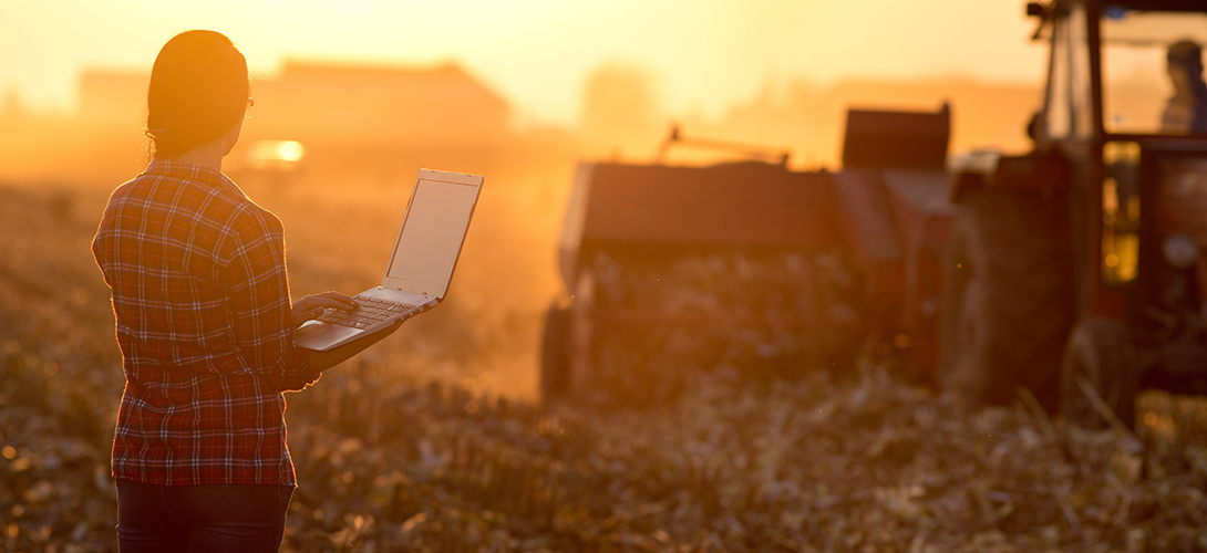 a farmer entering figures into a laptop