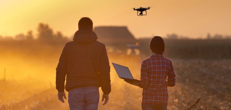 two farmers coordinating the movement of a drone over a field